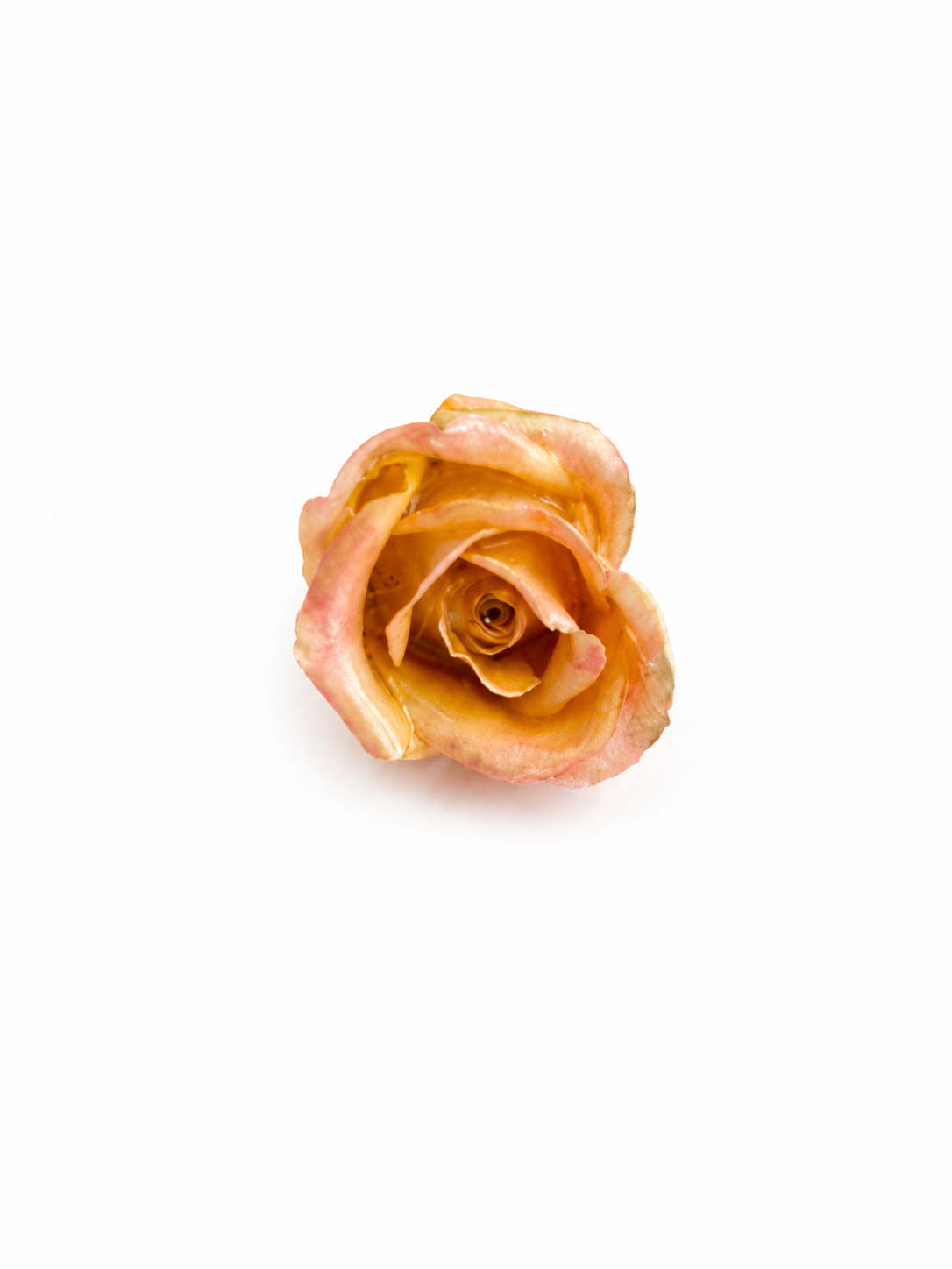 Ciondolo Bocciolo di Rosa